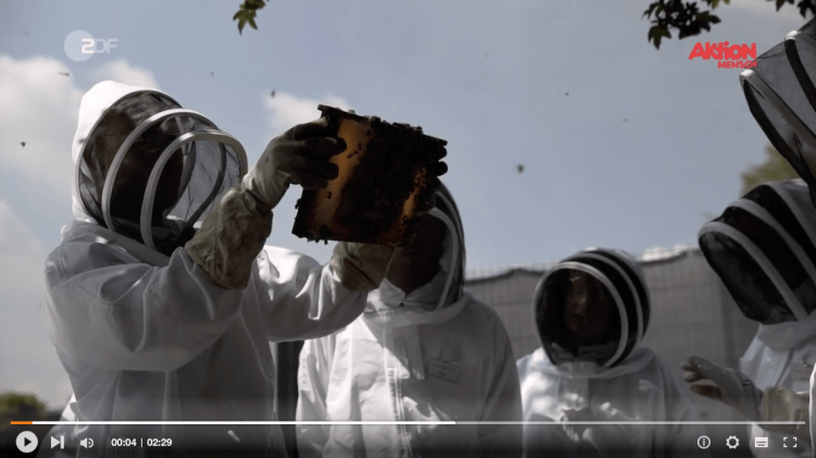 Bildschirmfoto 2018-08-02 um 11.35.22.png